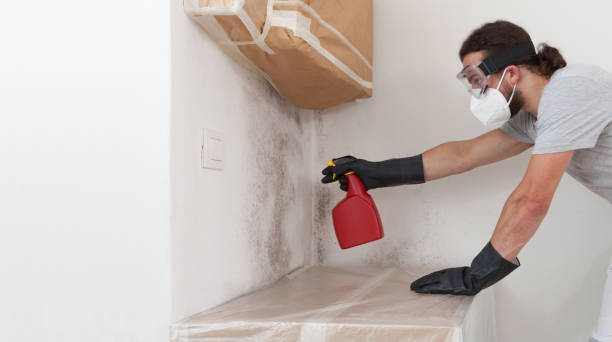 Professional Basement Mold Removal technician working in Aldie, VA